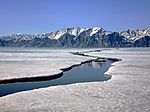 East side of Bylot Island viewed from sea ice in June
