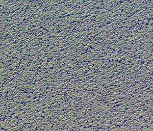 CD Pits at 6.25x Magnification
