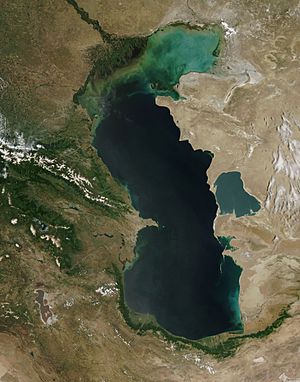 Caspian Sea from orbit