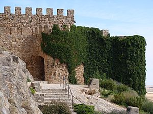 Château de Consuegra, entrée des visiteurs.JPG