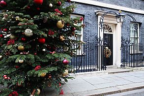 Christmas 2019 Downing Street Decoration (4)