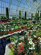 Como Park Zoo and Conservatory - 49