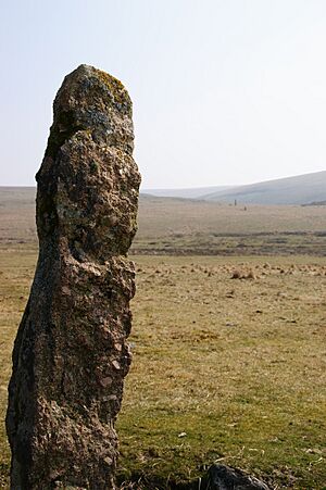 Drizzlecombe stones 6