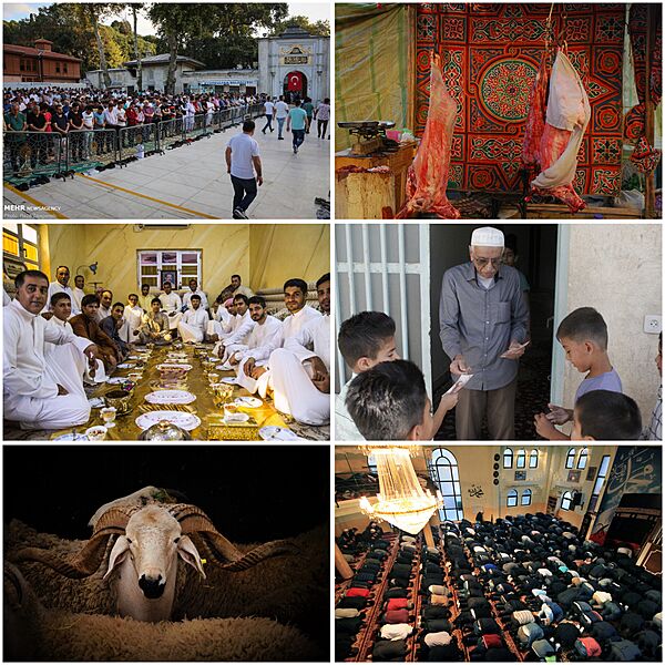 Eid al adha compilation