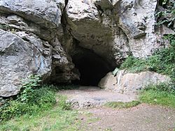 Entrance to Cow Cave, Chudleigh Rocks.jpg