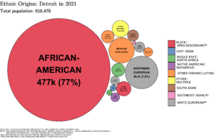 Ethnic Origins in Detroit