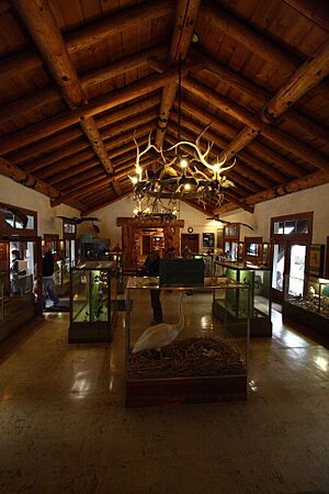 Fishing Bridge Museum Interior