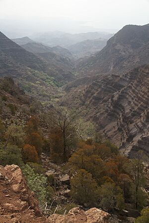 Goda Mountains - National Park of Forêt du Day