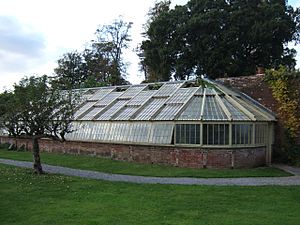 Greenhouse in one of the walled gardens at Greenway - geograph.org.uk - 1540147