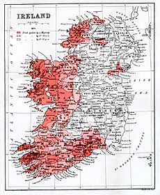 Irishin1871