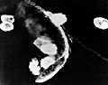 Japanese battleship Yamato under air attack off Kure on 19 March 1945 (80-G-309662)