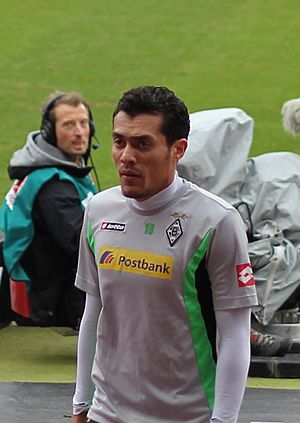 Juan Arango 2012 Borussia Mönchengladbach.jpg