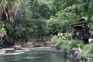 Kilimanjaro Safaris (27377141910)