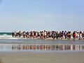 Knox College students at beach