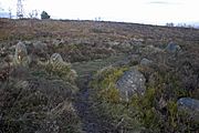 Lesser cairn on Harden Moor
