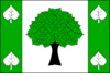 Flag of Lípa