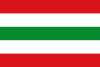 Flag of Manzanal del Barco