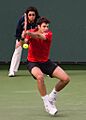 Mario Ancic at Indian Wells