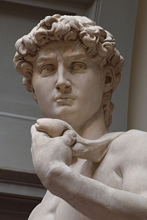 Michelangelo David crop