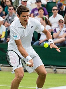 Milos Raonic 3, Wimbledon 2013 - Diliff