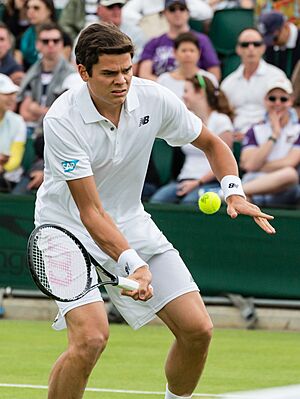 Milos Raonic 3, Wimbledon 2013 - Diliff