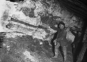 Miners underground at Pumsaint gold mine (1295079)
