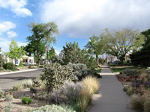 Monte Vista Historic District, Dartmouth Drive, Albuquerque NM