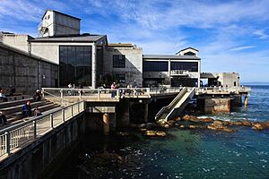 Monterey Bay Aquarium (4131549576)