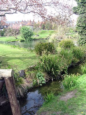 Motcombe Gardens