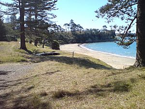 Motuihe Island, Northern Beach West.jpg