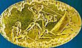 Mycenaean ring1