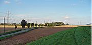 Near Waterton Hall - geograph.org.uk - 308893