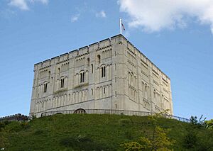 Norwich castle