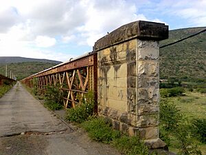 Old road bridge on Great Kei River