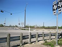 Orchard TX Hwy 36 FM 1489