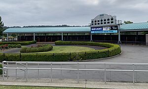 Paddock and saddling area at Emerald Downs on 30 June 2021 pre-live racing