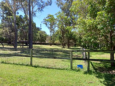 Paddocks at Cockatoo Court, Gaven, Queensland, Australia.jpg