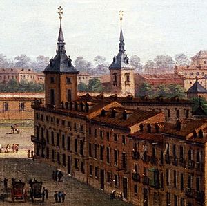 Palacio de los Alcañices1