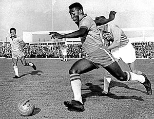 File:Troféu Campeonato Paulista 1976.jpg - Wikimedia Commons