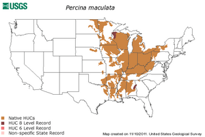 Percina maculata-distribution