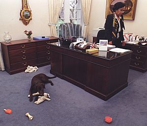 Photograph of Buddy the Dog Playing with Toys in front of Betty Currie's Desk in the Outer Oval Office- 02-06-1998 (6461528773) (cropped2)