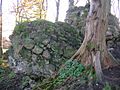 Polnoon Castle - fallen masonary