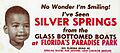 Promotional ad for Paradise Park