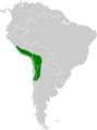 Recurvirostra andina map