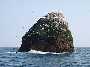 Rockall - geograph.org.uk - 1048791