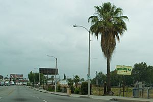 Rosemead, California Facts for Kids
