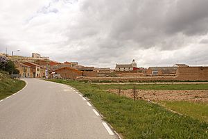View of Santa Cruz de la Salceda, 2010