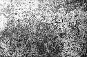 Sofia Vitovtovna grave inscription