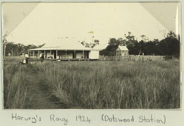 StateLibQld 2 259221 Dotswood Station homestead, 1924.jpg