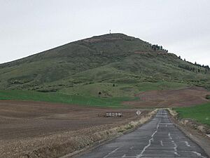 Steptoe and Kamiak Buttes